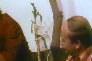Island Fever - Fire 1979) Complete Video