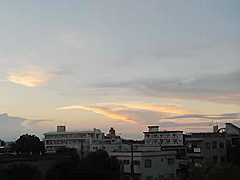 JHP866-MTZVIPAYNN675288278