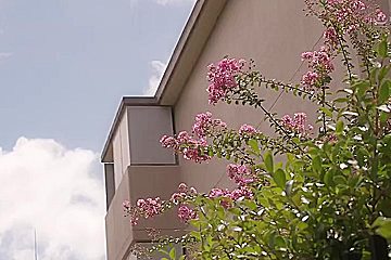 JVGAVGEXMPIKCIJMSZ36JUQ579
