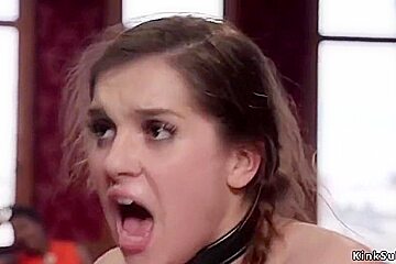 Kasey Warner And Holly Heart - teen 18+ Slave In Stock Had Sex From Behind