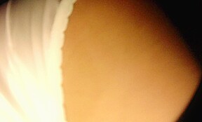 Leather Miniskirt Satin Panties