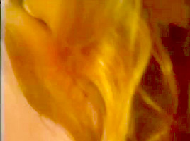 Lesbian cuties play and lick their hairy cunts
