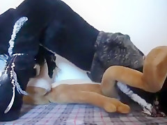 Love My Plush