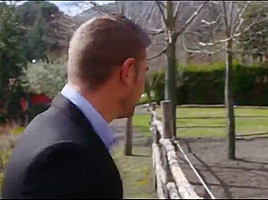 Love in belvedere 1