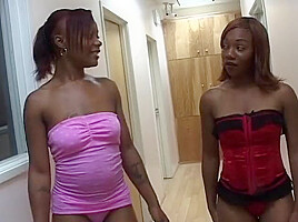 Luxurious Redhead Coloured Sluts Are Scuking Dick Staying On Their Knees
