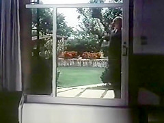 Lynn Armitage - British Vintage Porn