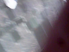 MAH08119