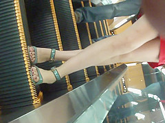 MAH08252