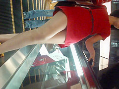 MAH08252
