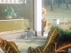 Memoiren der Lust (1979)