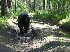 Mudding in ACU