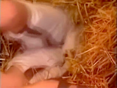Natural Big Tits in a Barn