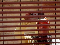Neighbor spy on sex by window and masturbate - creampie for happy guy :-)