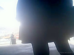 Nice Legs in Netz Nylons