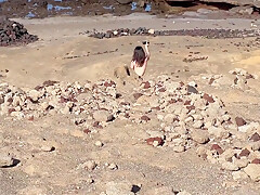 Nudist Beach Blowjob: I Show My Hard Cock To A Bitch That Asks Me For A Blowjob And Cum In Her Mouth