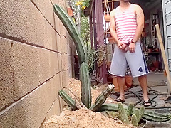 Nudist jerking off in the patio