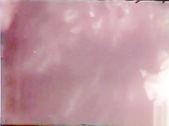 Peepshow Loops 370 1970's - Scene 3