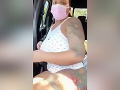 Phat Cat In Car 