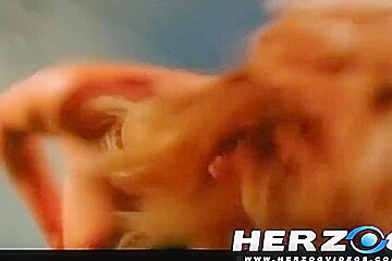 Porn From The Vault - Vol 11