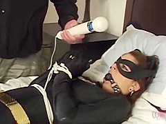 Pussy Cat With Cat Woman