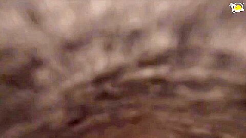 Real Amateur Polish Porn - Nice Fuck Before The Party