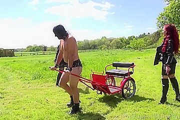 Ridden And Whipped