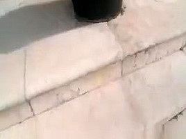 Round Ass Sexy Bitches Eating Dicks In Foursome