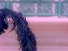 Sensual Exposure 1993