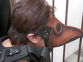 Sex Cyborg - Vibrator Orga