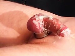Sexy Wax 1