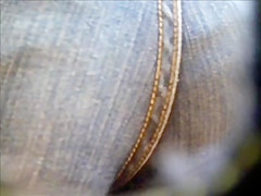 Sexy asses in pants!!!!