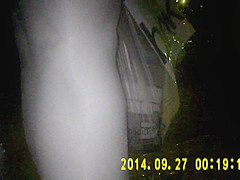 Shiny black pantyhose in night vision