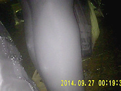 Shiny black pantyhose in night vision