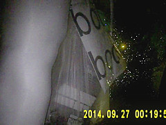 Shiny black pantyhose in night vision