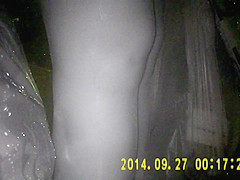 Shiny black pantyhose in night vision