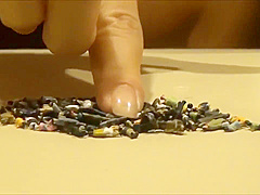 Shrinking video