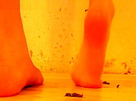 Silvia barefoot cricket crush playful