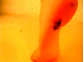 Silvia barefoot cricket crush playful