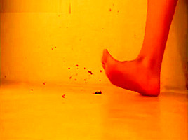 Silvia barefoot cricket crush playful