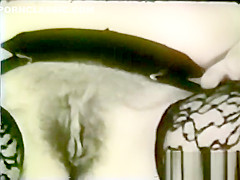 Softcore Nudes 653 1960's - Scene 7