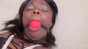 Stacy stalker