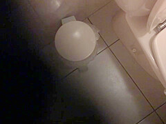 Step sister in law spy wc