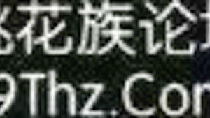 TQR053-HFHWSUCNEU840509617