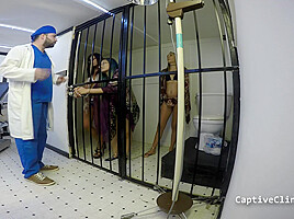 The New Immigration Policy - Lilith Rose - Part 2 of 8 - CaptiveClinic
