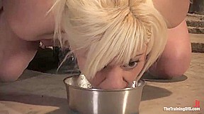 The Training Of Satine Phoenix Day Five - Kink