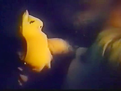 Traitement special pour une bourgeoise insatisfaite (1984)