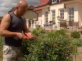 Two Hot Clothed Babes Get Screwed By Lucky Gardener