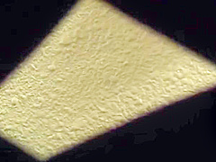 VHE788-OFZSXQGMSM615228773