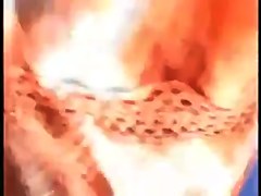 Videos Z #12