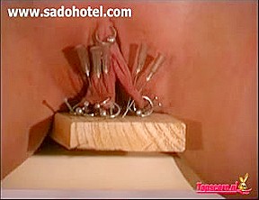 Villein cum-hole nailed on wood with needles and nails 